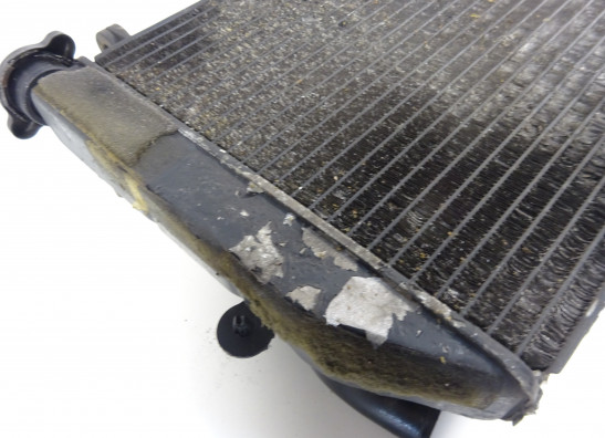 Radiateur Yamaha YZF R6