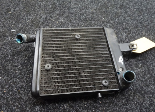 Radiateur Benelli TNT 1130 cafe racer