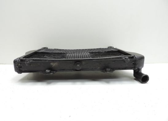Radiator Kawasaki GPZ 900