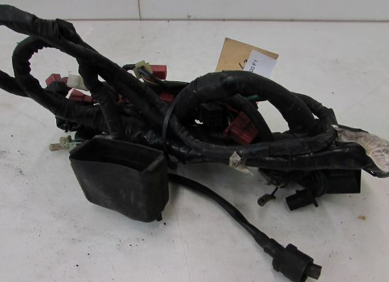 Wire Harness Honda CBR 1000 F