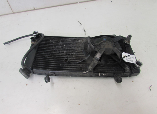 Radiator Suzuki TL 1000