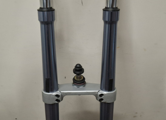 Voorpoten compleet BMW R 1100 S