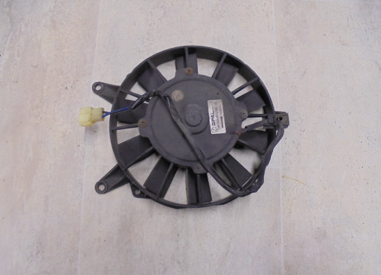 Fan Triumph Trophy 1200