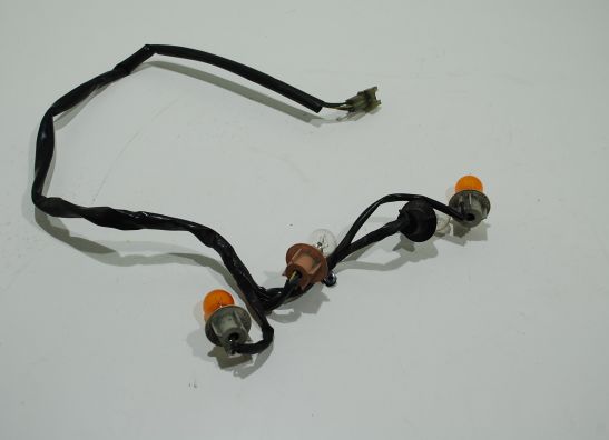 Achterlicht Yamaha FJR 1300