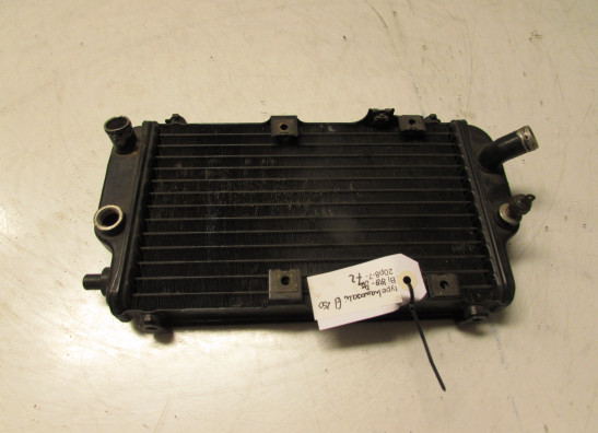 Radiateur Kawasaki EL 250