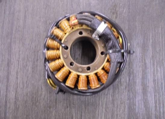 Dynamo Ducati Multistrada 1000