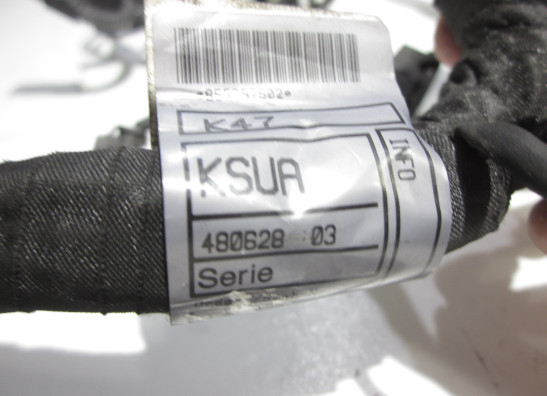 Wire Harness BMW S 1000 R