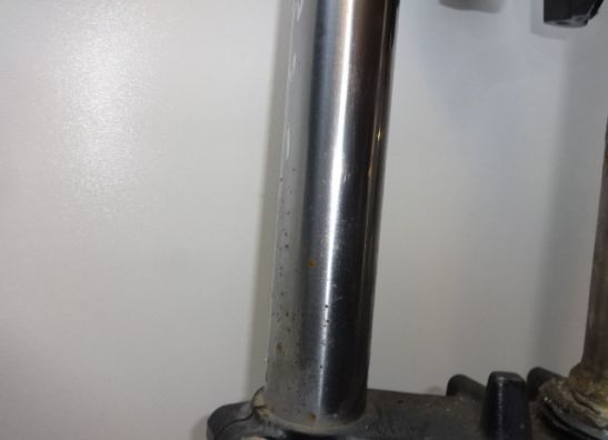 Voorpoten compleet Kawasaki ZZR 250