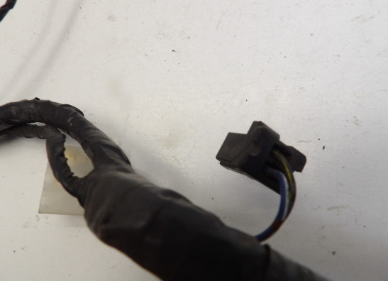 Kabelboom Kawasaki ZX 6 R