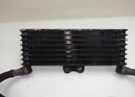 Olkuhler Honda CBR 1100 XX