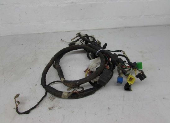 Wire Harness Suzuki GS 500 E