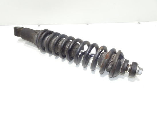 Stossdämpfer vorne BMW R 1200 GS