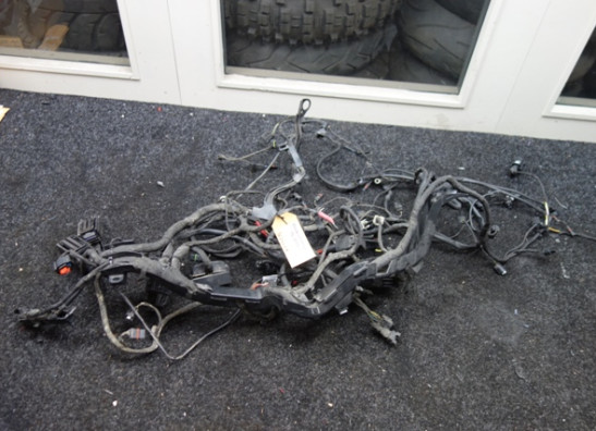 Kabelbaum BMW R 1200 GS LC