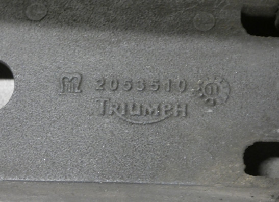 Hinterradschwinge Triumph Tiger 1050