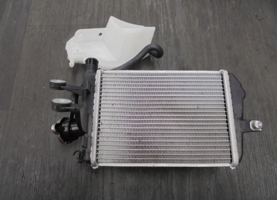 Radiateur BMW R 1250 GS 2021-2022