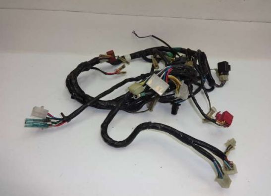 Wire Harness Kawasaki GPX 600