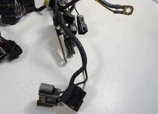 Wire Harness Kawasaki GTR 1400