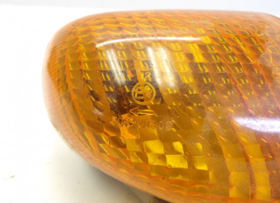 Winker left rear Kawasaki ZZR 1100