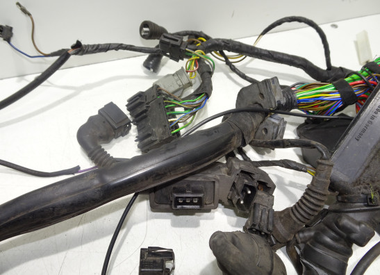 Wire Harness BMW R 1100  1150 RS