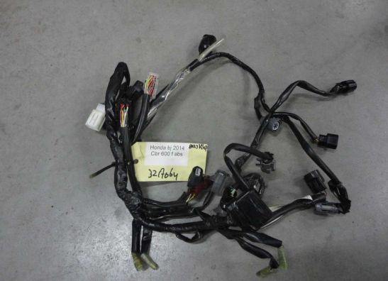 Kabelboom Honda CBR 600 F