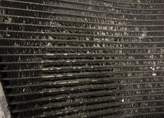 Radiator Honda CBR Fireblade