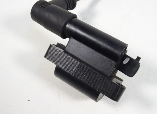 Bobine Ducati monster 1100