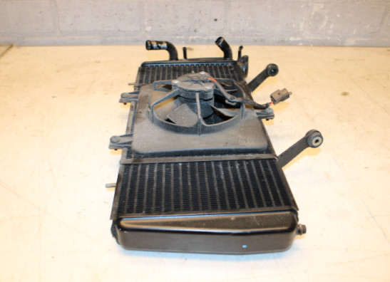 License plate holder Triumph Sprint RS