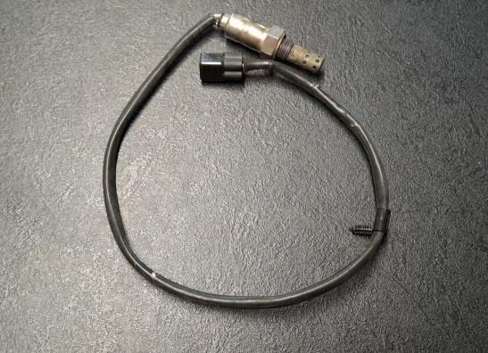 Oxygen sensor KTM 390 Duke