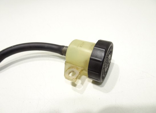 Rempomp achter BMW F 650 CS Scarver