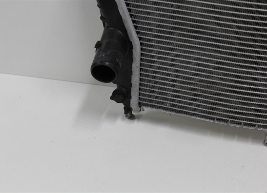 Radiateur BMW S 1000 R