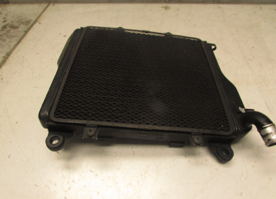 Kuhler Kawasaki GTR 1000