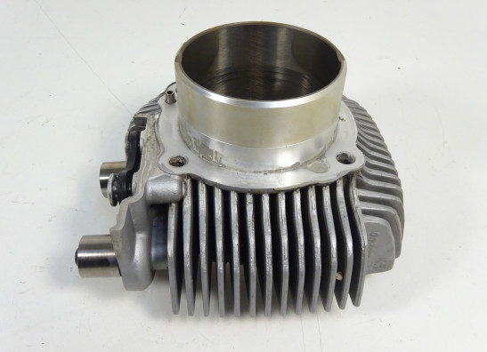 Cilinderblok Ducati monster 796