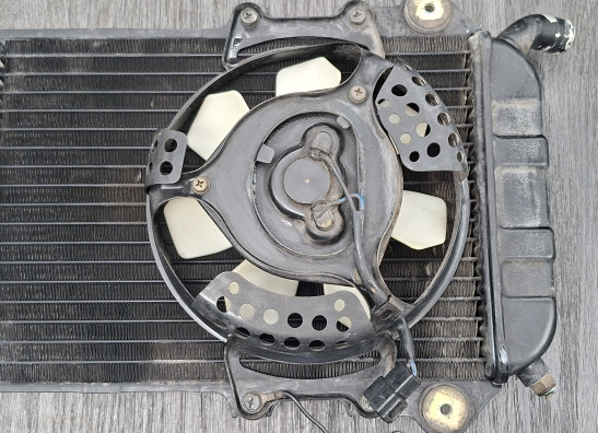 Radiator Kawasaki VN 700  750