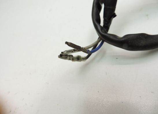 Blinker vorne links Kawasaki LTD 750