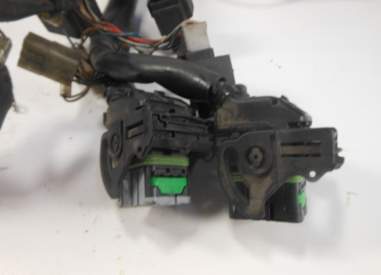 Kabelboom Aprilia Caponord 1000