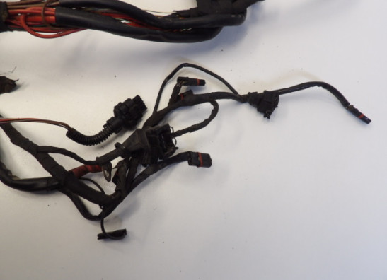 Kabelboom BMW R 1200 GS