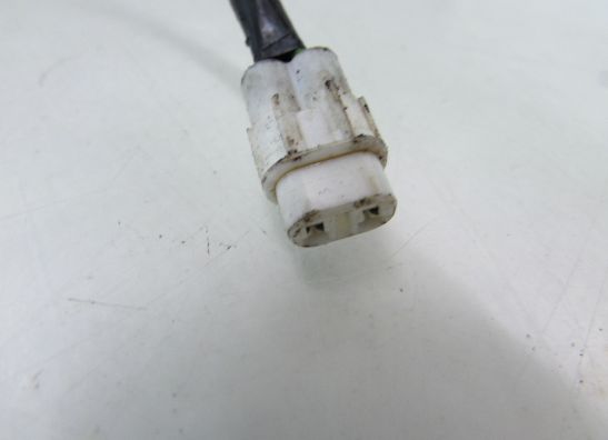 Motorblok diverse Suzuki GSX R 1000