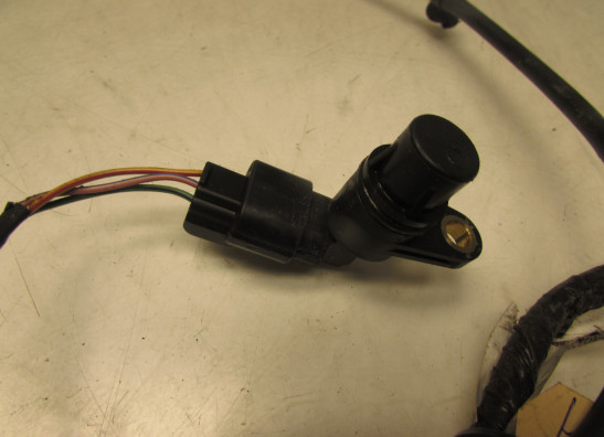 Kabelbaum vorne Honda CB 600 F