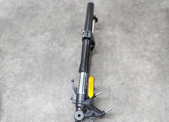 Voorpoten compleet Kawasaki Z H2