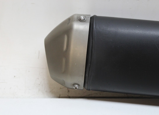 Auspuff Yamaha Tenere 700