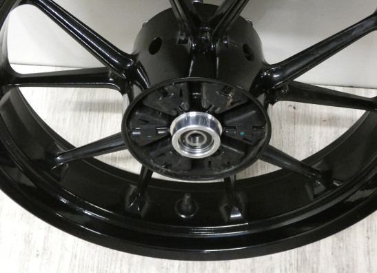 Achtervelg KTM 390 Duke