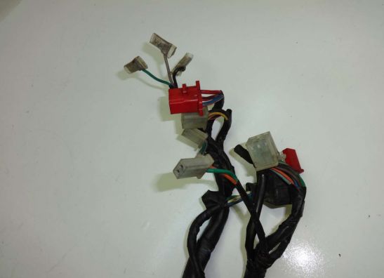 Wire Harness Honda TRANSALP