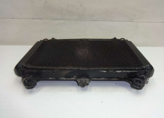 Kuhler Kawasaki GPZ 600