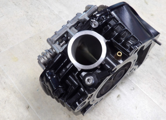 Cilinderkop BMW R 1250 GS Adventure