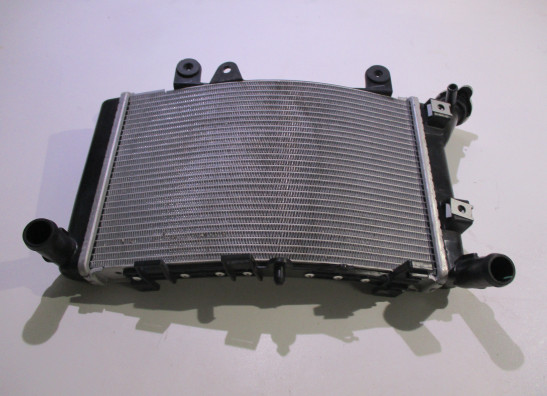 Radiateur BMW F 900 R