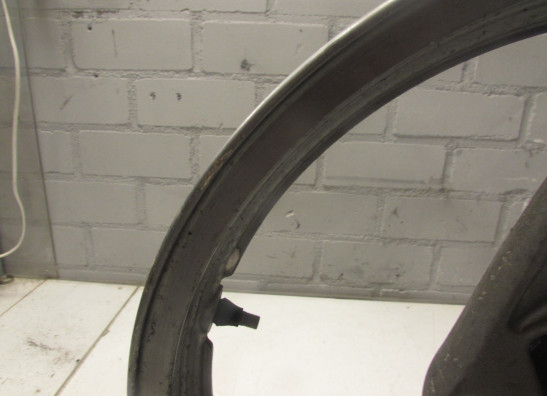 Voorvelg Kawasaki ZZR 250