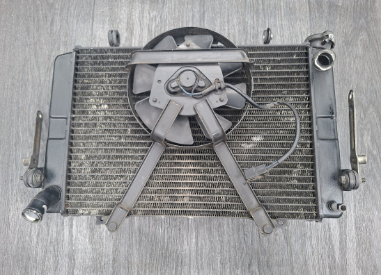 Radiator Yamaha FZR 1000