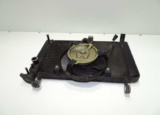 Radiator Yamaha YZF 600 Thundercat