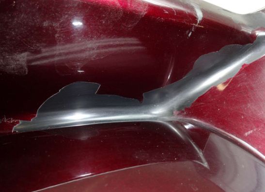 Hinterradabdeckung Honda Goldwing GL