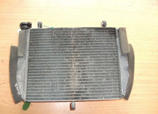 Radiator Yamaha YZF R6